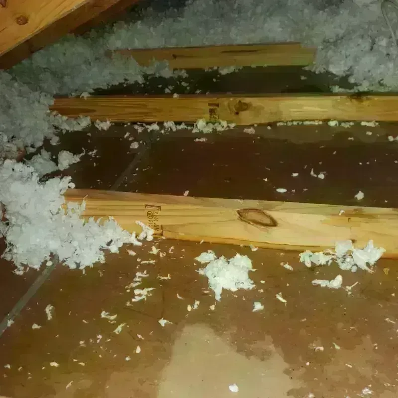 Attic Water Damage in Otsego, MN