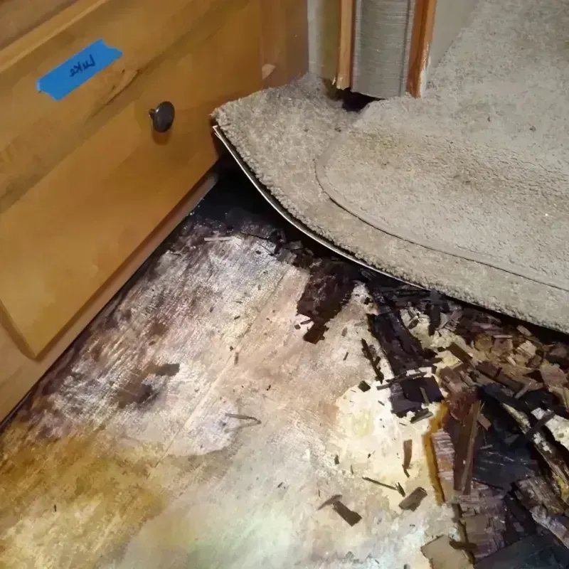 Wood Floor Water Damage in Otsego, MN